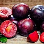 Red Plum